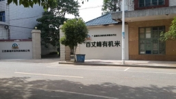 大米是怎样分类和定等级的