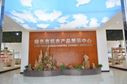 公司近年获得的荣誉