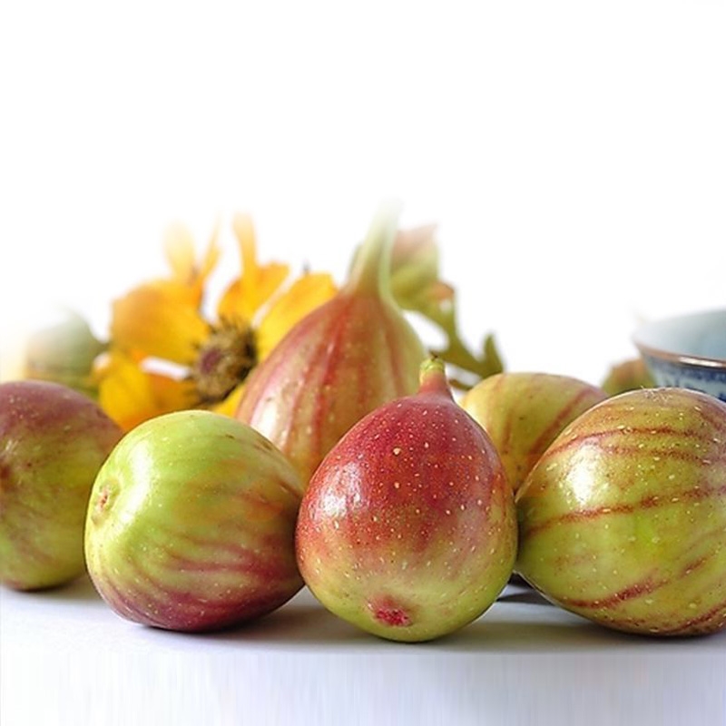 红皮新鲜无花果