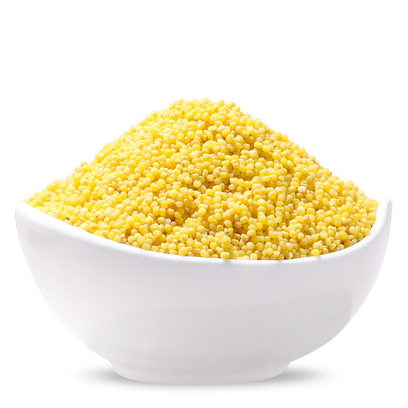 农家黄小米