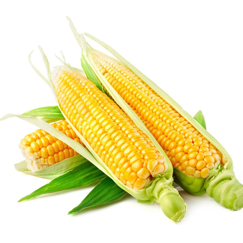 玉米棒