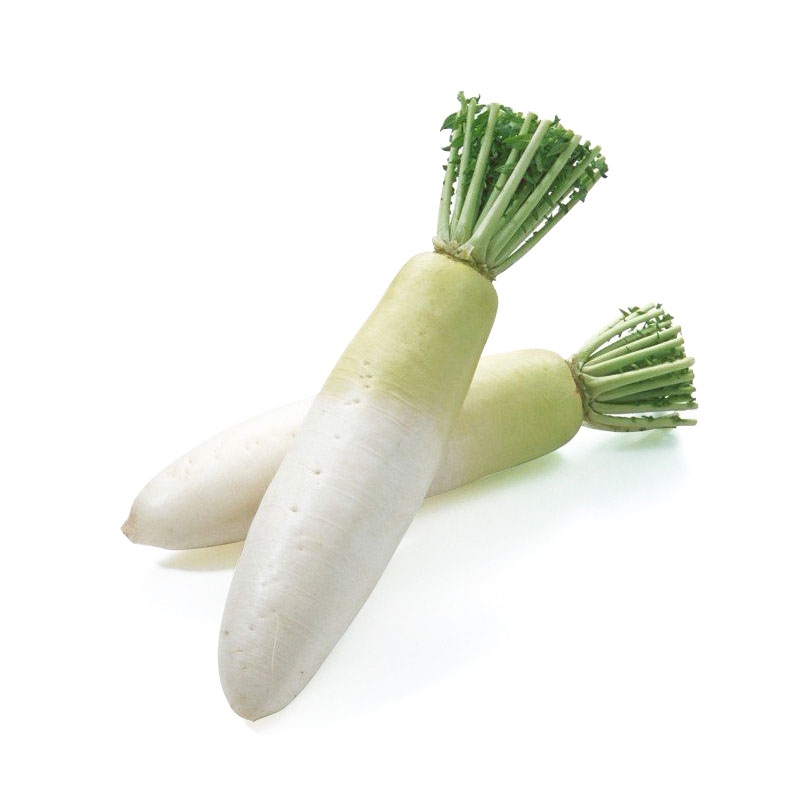 白萝卜