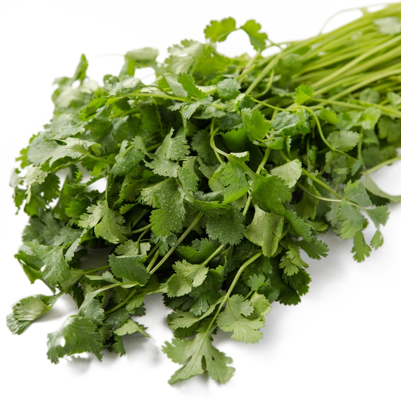 香菜