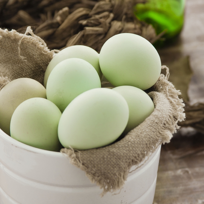 绿壳鸡蛋