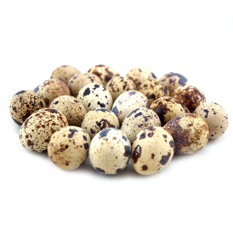 新鲜鹌鹑蛋