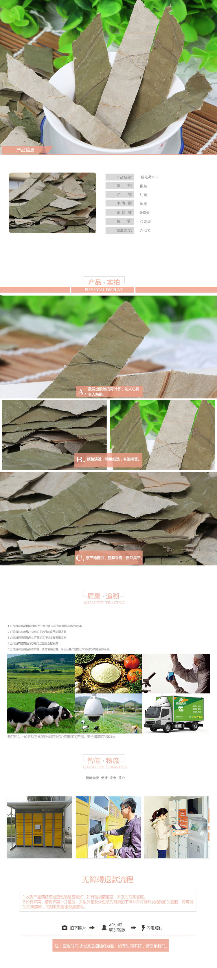 精选荷叶干.jpg